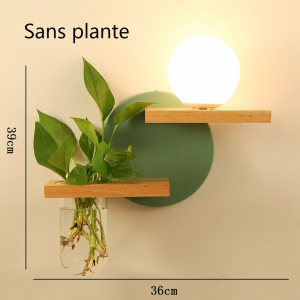 Applique murale bois avec porte-plante vue de face